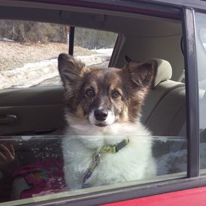 Meet your Posher, Juli